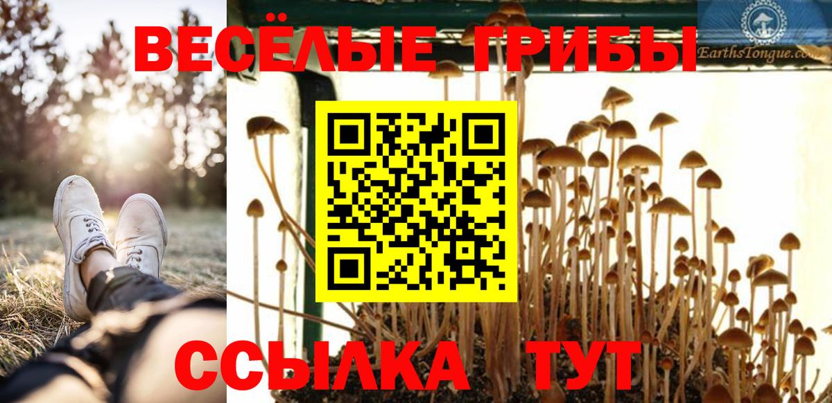 Мариинск  Галлюциногенные грибы прущие грибы  Галлюциногенные грибы прущие грибы  Вход с VPN 